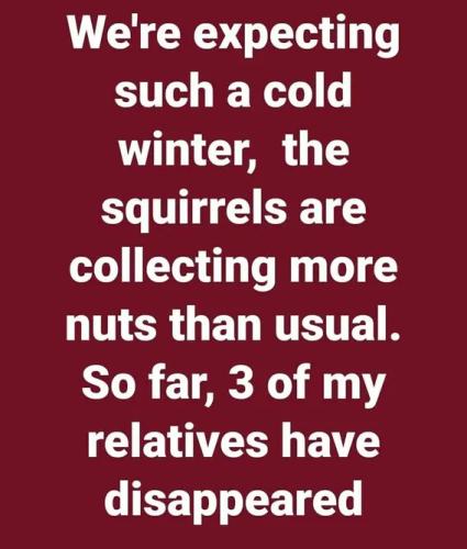 squirrels-collecting-nuts