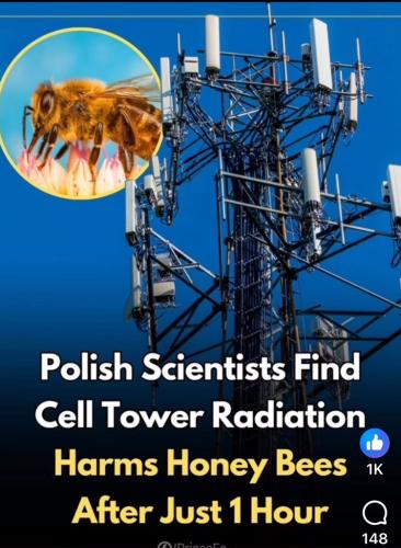 0A4E4D02-5A1E-4EF8-9F28-F97AD8D308C4