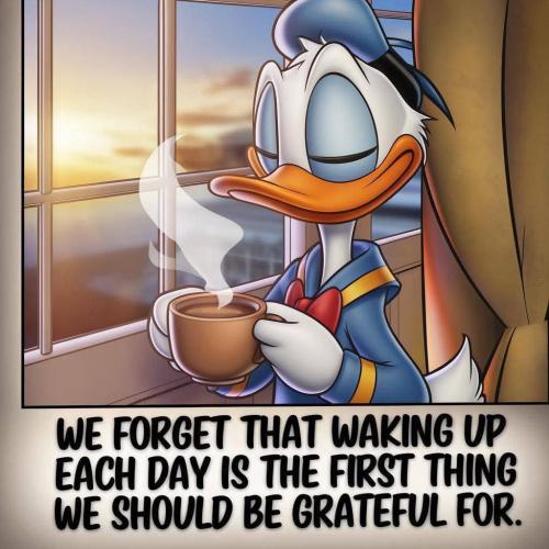 529926718_122183505866292149_6017014518127069590_n