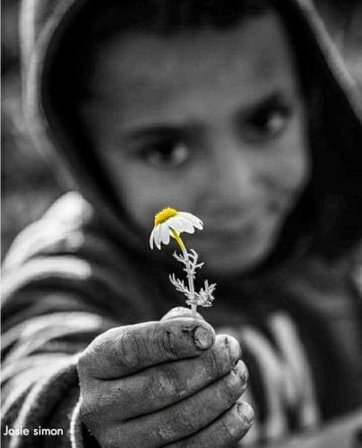 563c57ee323028e021e501b779dfaeed