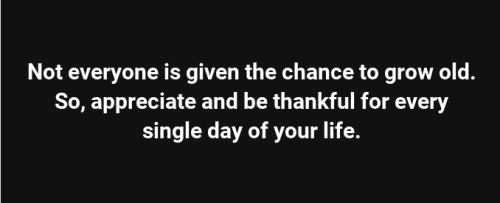 Screenshot 2025-08-08 3.45.09 PM