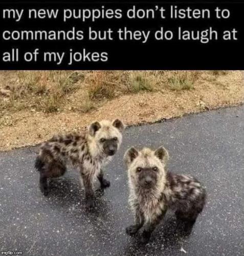 FB_IMG_1756130793971