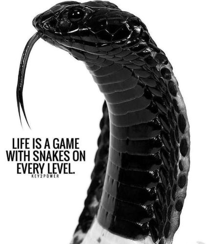 125b057b29ddd4758173fefea425b452