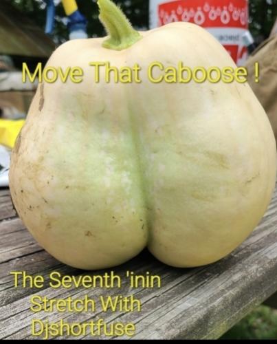 Screenshot_20250821_144333_Gallery