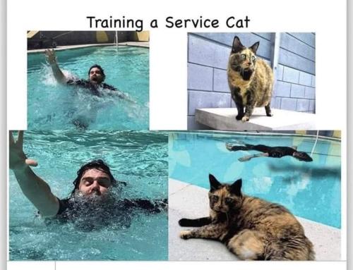 FB_IMG_1756215215039