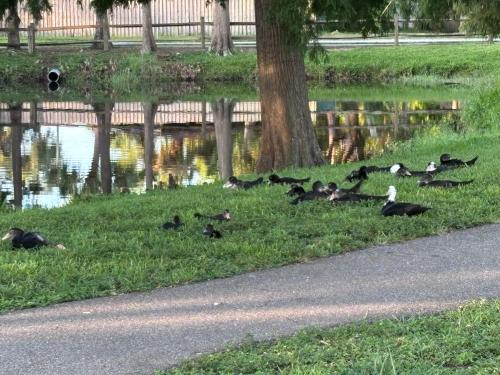 7DE3656E-E06F-47B0-960C-599564EC3104