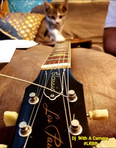 Screenshot_20250802_080611_Gallery