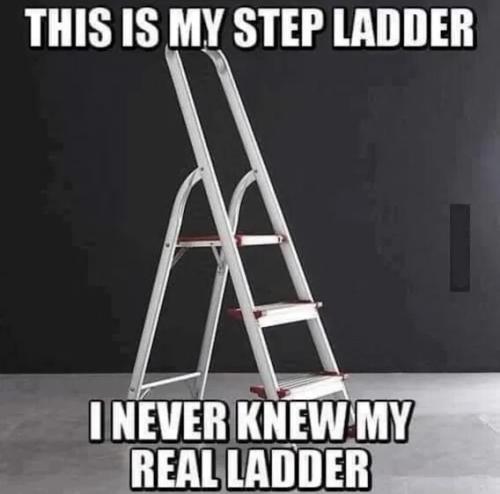 a ladder g