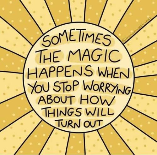 535347011_776644391918422_8950823611446539070_n