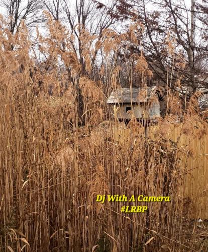 Screenshot_20250806_070611_Gallery