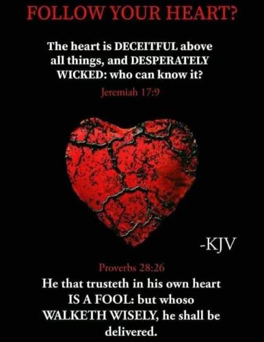 81c65049-6308-4c75-a703-65115acfb436