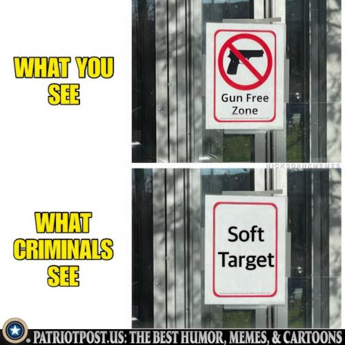 01K1KFHAZH3C19TBFE4TM89QNK