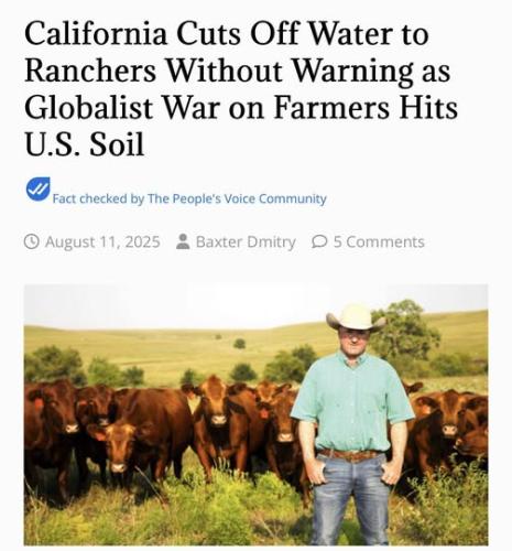 532345014_1334313108701859_1847305997589564820_n