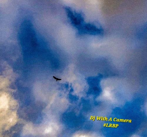 Screenshot_20250807_070106_Gallery