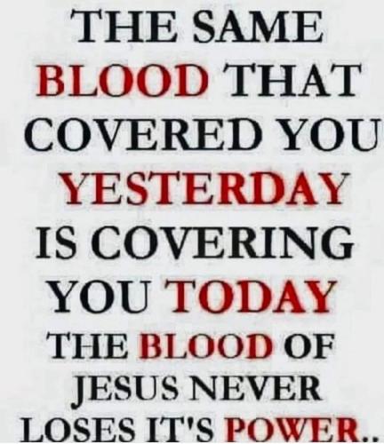 526573161_741111372006157_1524366722024623281_n