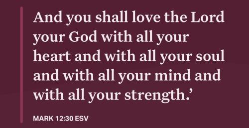 533522631_24103803195980217_8151742999571014226_n