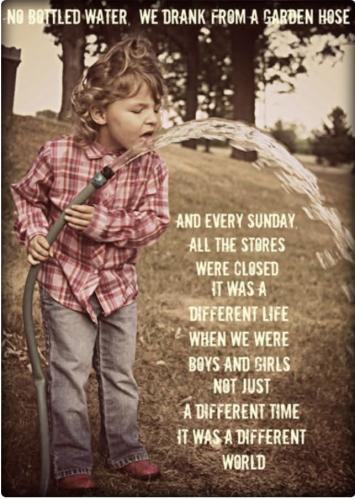 f1514ad4310e07509990f8b3806ff681