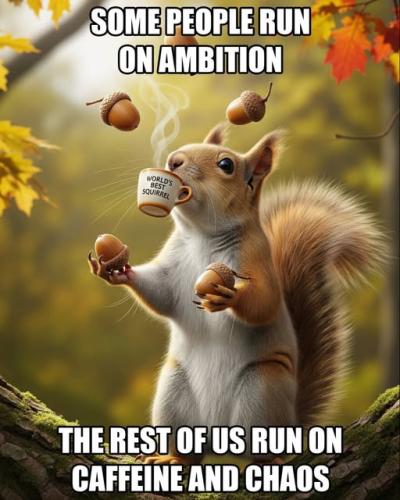 539774808_122158187276748476_3834536809083402632_n