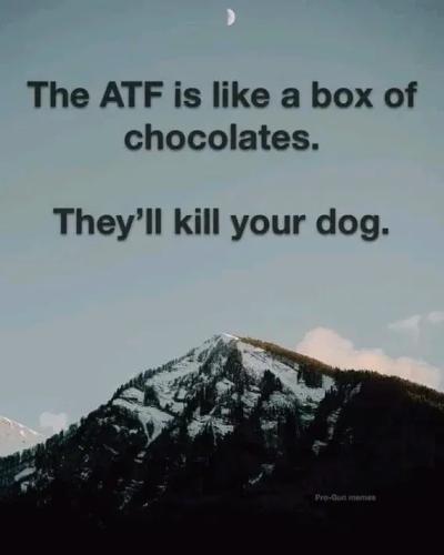 5e41c9ec-f3c9-4118-bd29-d5375606b912_568x709