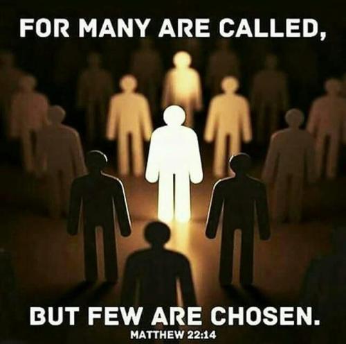 cefe8fb79a4b348c62dc182a373be73c