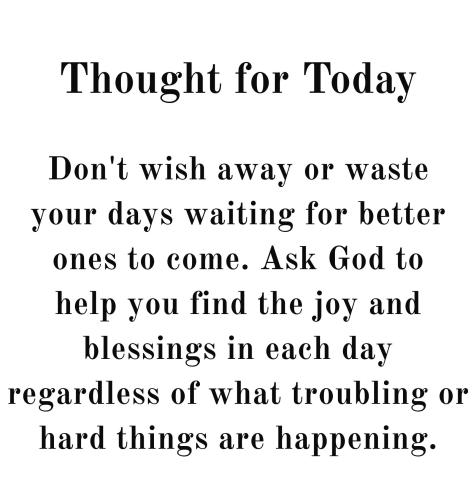 526649116_771997845334564_8709719589389982120_n