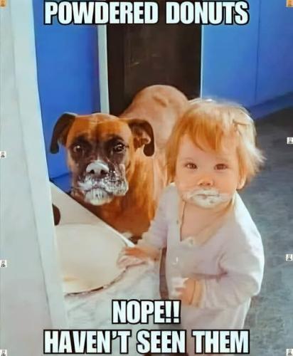 FB_IMG_1756584653693