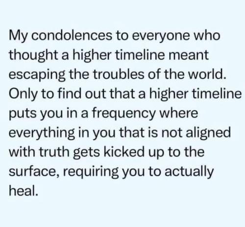 537855273_779848491598012_6474986661504183170_n