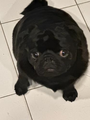 113472DB-9080-48B4-AD42-66333B7B1FEC