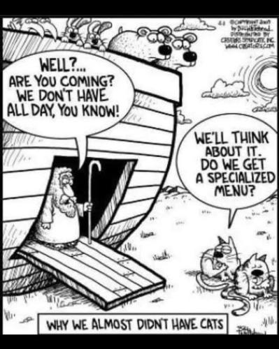 525494088_1176325567868145_6585587215813097546_n