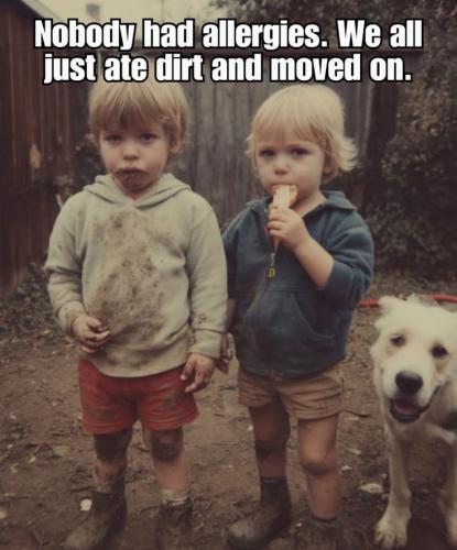 f50af7b9233ab4a67aa6a3cbcba42648