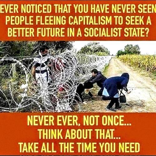 9DCBB97B-A27D-482B-9977-34FD5B02F373