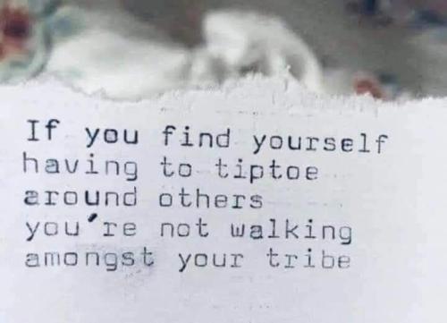 529338281_765514669698061_1131974530954175533_n