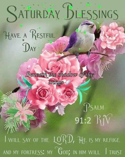 540774578_18022552076743683_3072031166309999719_n