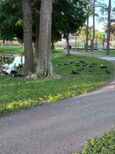 81B293F5-8D9F-4B52-8B5C-57DEB95036E7