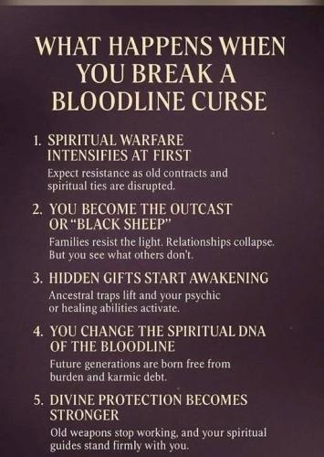 536267931_744729198443447_4266979358706757408_n