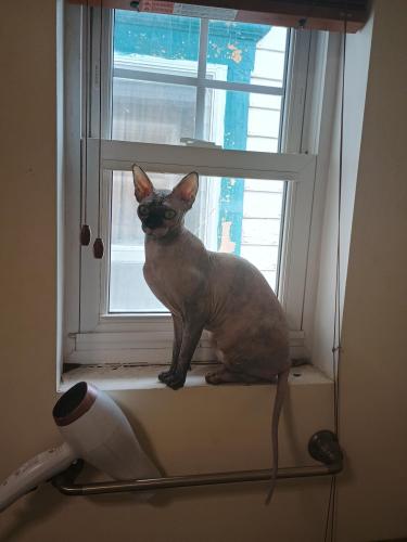 fea29328-a08a-4ab9-aad1-1f959c5e2399