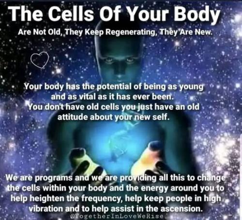 ,          ,  0424775766_746362