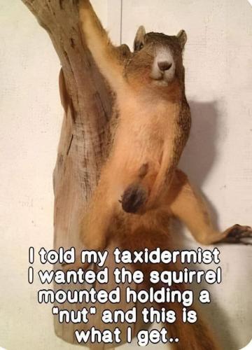 IMG_20250816_122835_400