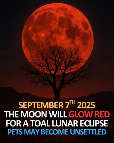 23:45:39 GMT-0500 (CDT)