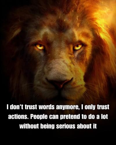 FB_IMG_1755384004372