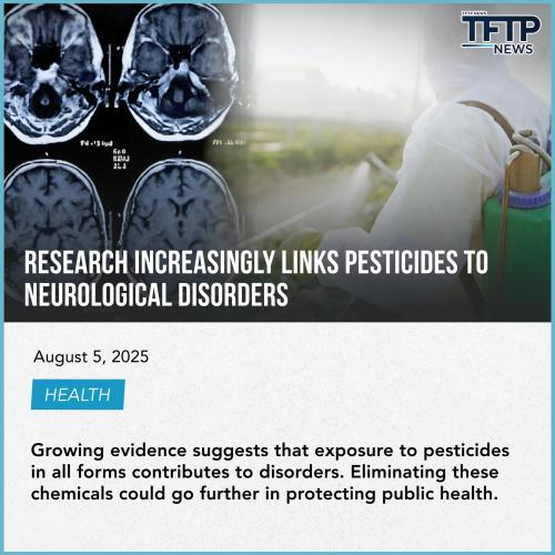 53543432123123123543543453