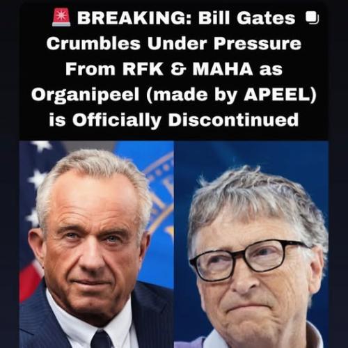 538800991_1360926558724521_3485984094188544002_n