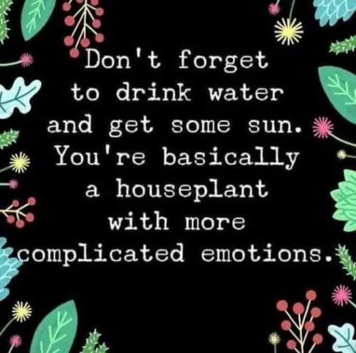 538092731_122224569554088259_8276176476209359189_n