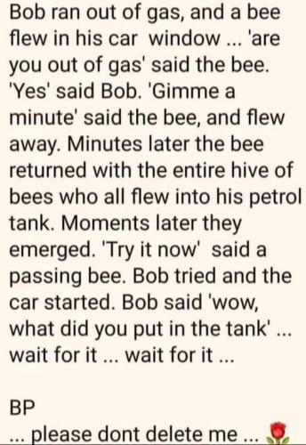 529817963_122188630328368058_4066720929706707192_n