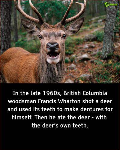 FB_IMG_1756575276521