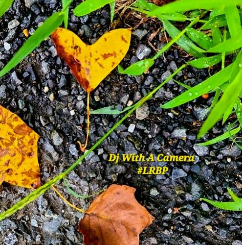 Screenshot_20250826_061325_Gallery