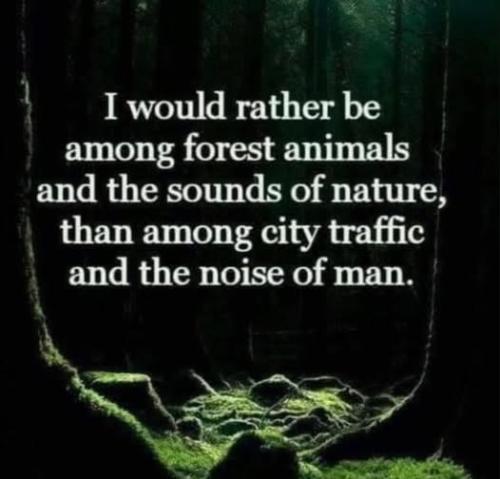 530490501_749137391157670_1542711141283447360_n