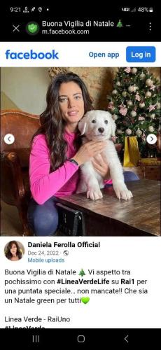 8e43c3df-f7a7-47a7-9f3f-de7be4a00df2