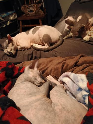 f6c6c0c1-f992-418a-9f7d-f885ed37f10c