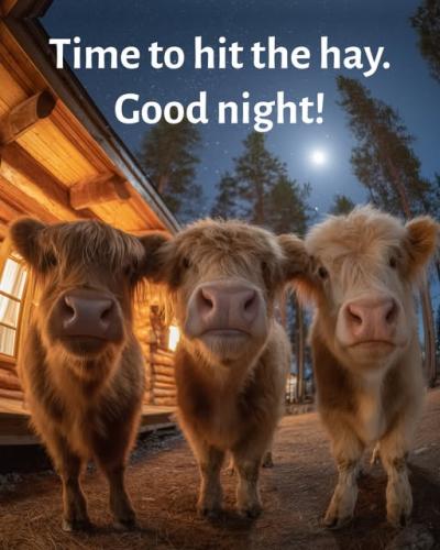 535035463_122142995258616847_1119322149635778123_n